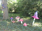 DSC07124