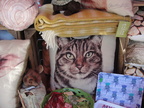 DSC07130
