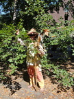 DSC07145