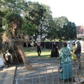 DSC07205