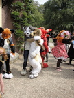 DSC07271