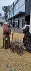 IMG 20221211 120534