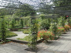 DSC07506