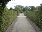DSC07512