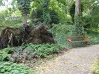 DSC07518