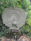 DSC07524