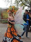 DSC07554
