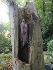 DSC07556