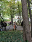 DSC07595
