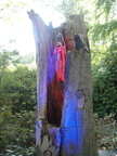 DSC08194
