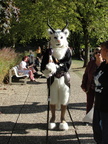 DSC08220