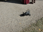DSC08447