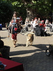 DSC08496