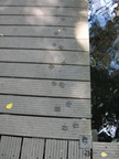 DSC08624
