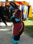 DSC08633