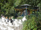 DSC08674