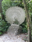 DSC08678