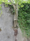DSC08700