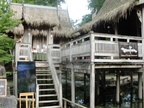 DSC08704