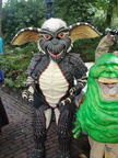 DSC08761