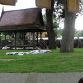DSC08095
